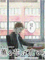 神马影视综艺-乐队的夏天